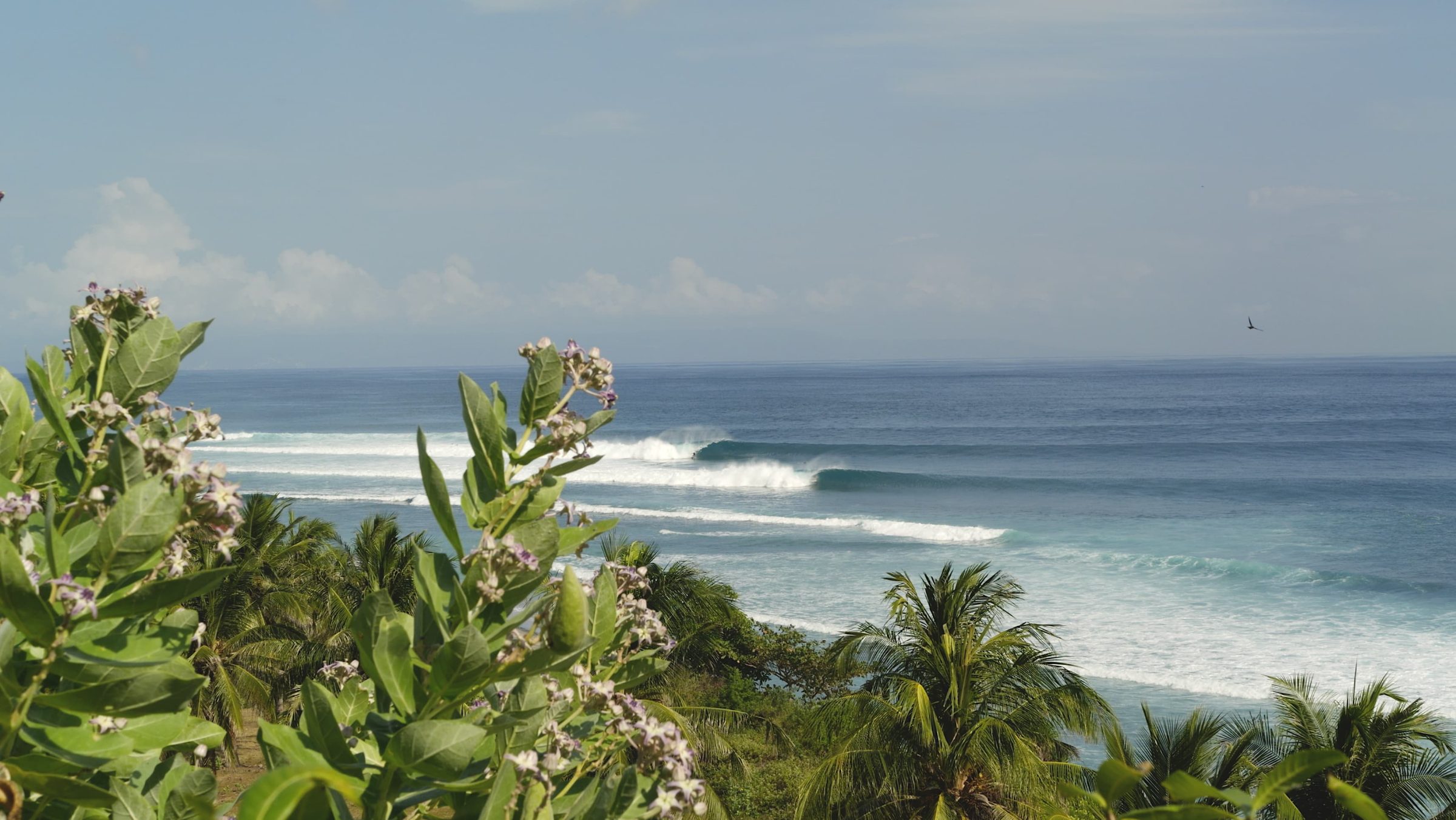 Capitulo Perfeito calls it on for Wednesday, September 9, at Desert Point 